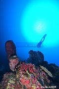 Ambiance Catherine-Wakatobi Wangi Island-33m-20180601-Denis-ADER-DSC_2834_tn